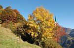 16-I colori dell'autunno in discesa